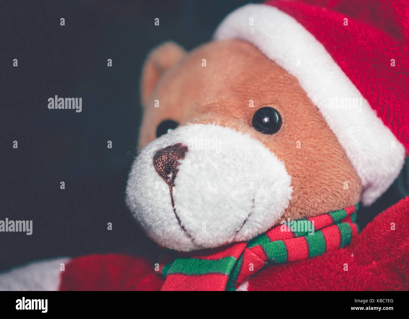 Portrait of cute teddy bear wearing santa claus costume avec écharpe rouge et verte de saison en hiver Banque D'Images