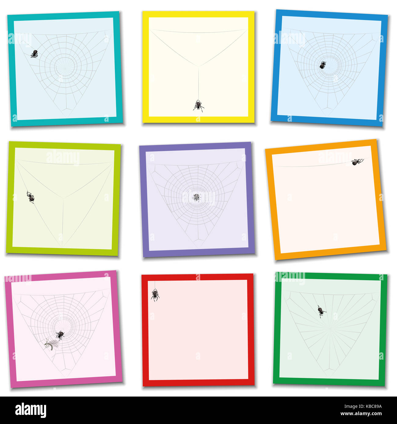 Spider web étapes - porter le mélange des cartes de couleur dans le bon ordre de l'apparence de l'araignée peu à la proie capturée. Banque D'Images