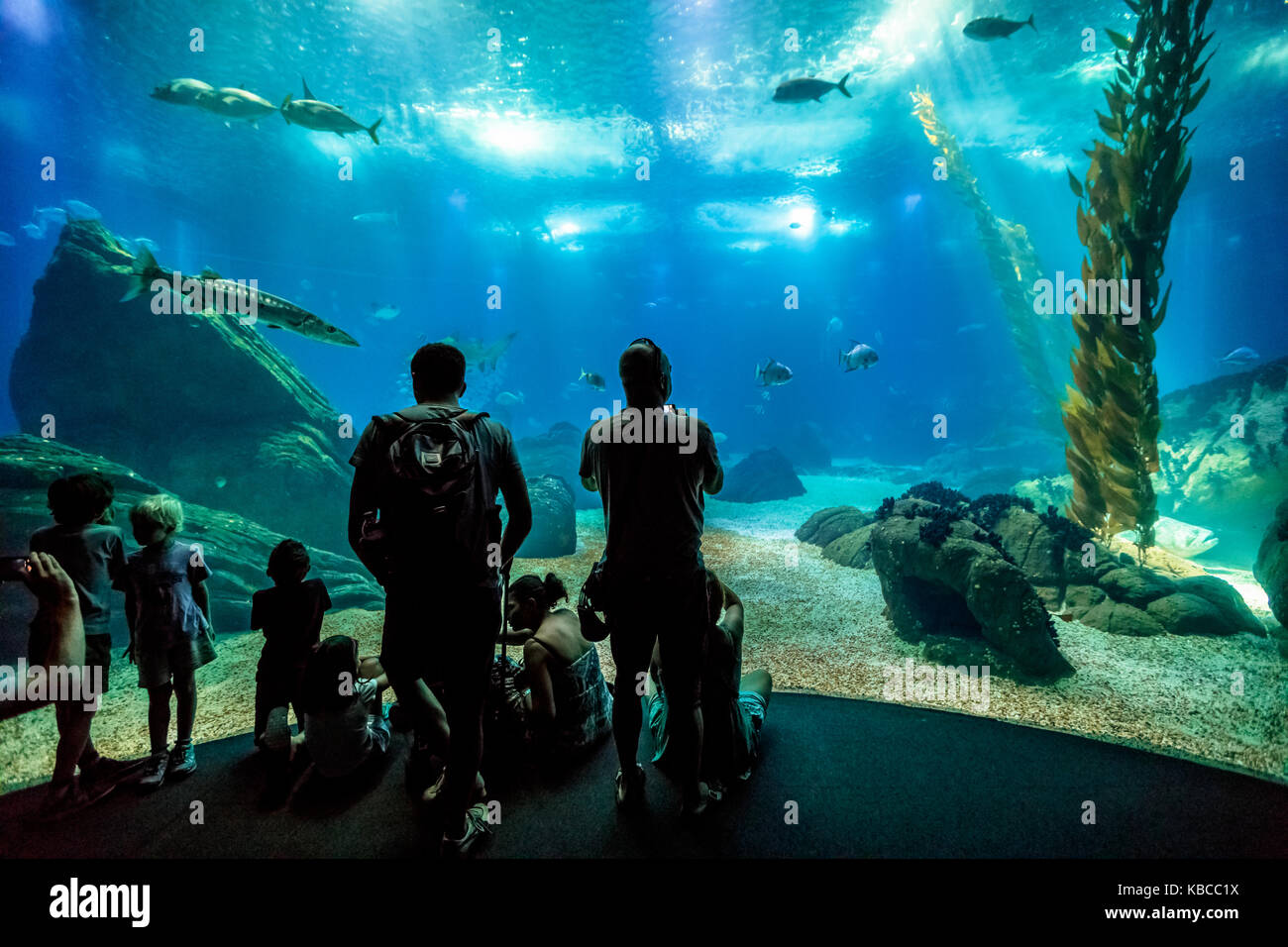 Famille à Océanarium de Lisbonne Banque D'Images