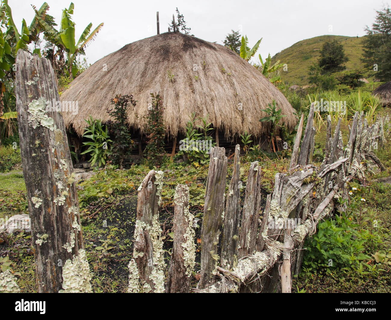 Cabane dans la tribu dani Baliem Valley, Papouasie, Indonésie Banque D'Images