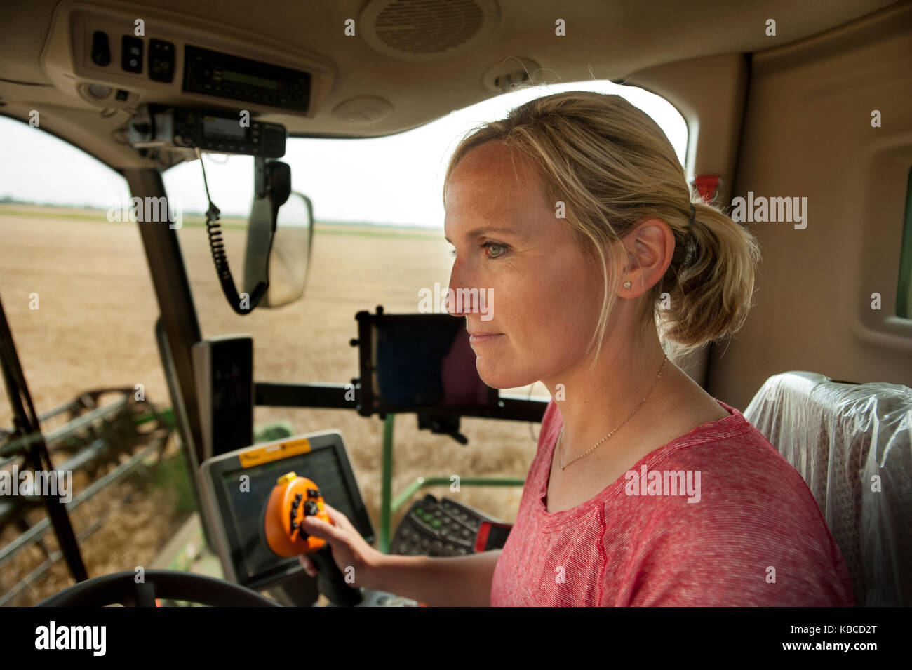 Une jeune femme fermier moissonne le blé sur la ferme familiale près de Breckenridge, Dakota du Nord Banque D'Images