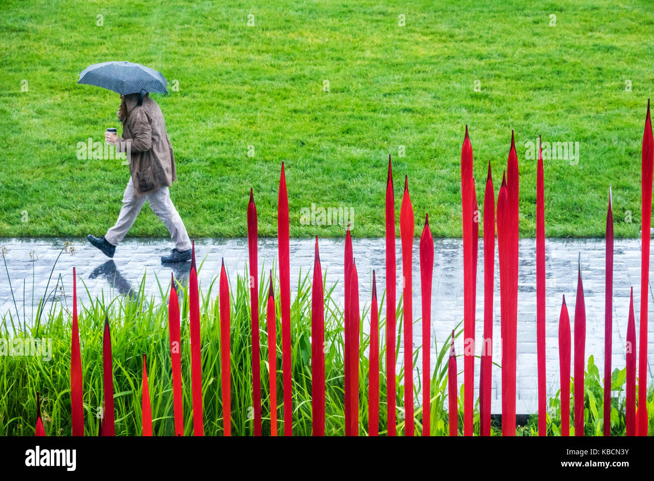 Richmond Virginia,Virginia Museum of Fine Arts,VMFA,Robins Sculpture Garden,Dale Chihuly,Red Reeds,pluie,parapluie,adultes homme hommes,marche,vis Banque D'Images