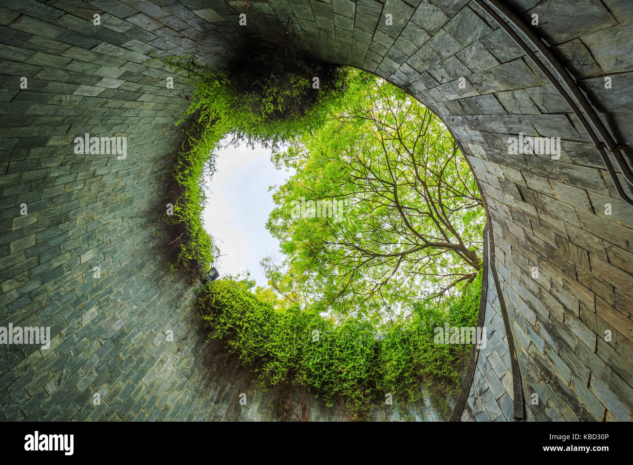 Passage souterrain en tunnel à Fort Canning Park, Singapore Banque D'Images