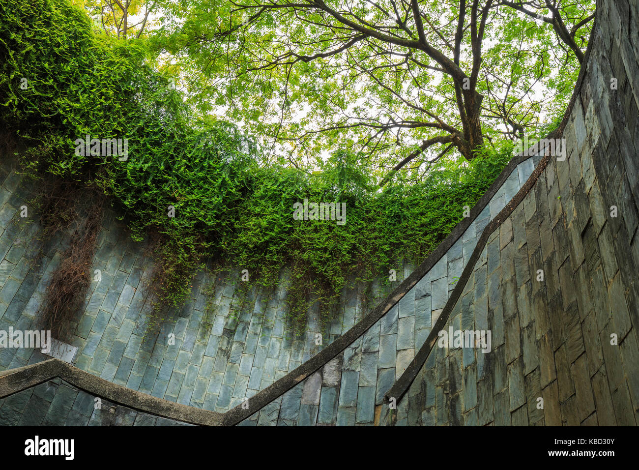 Passage souterrain en tunnel à Fort Canning Park, Singapore Banque D'Images