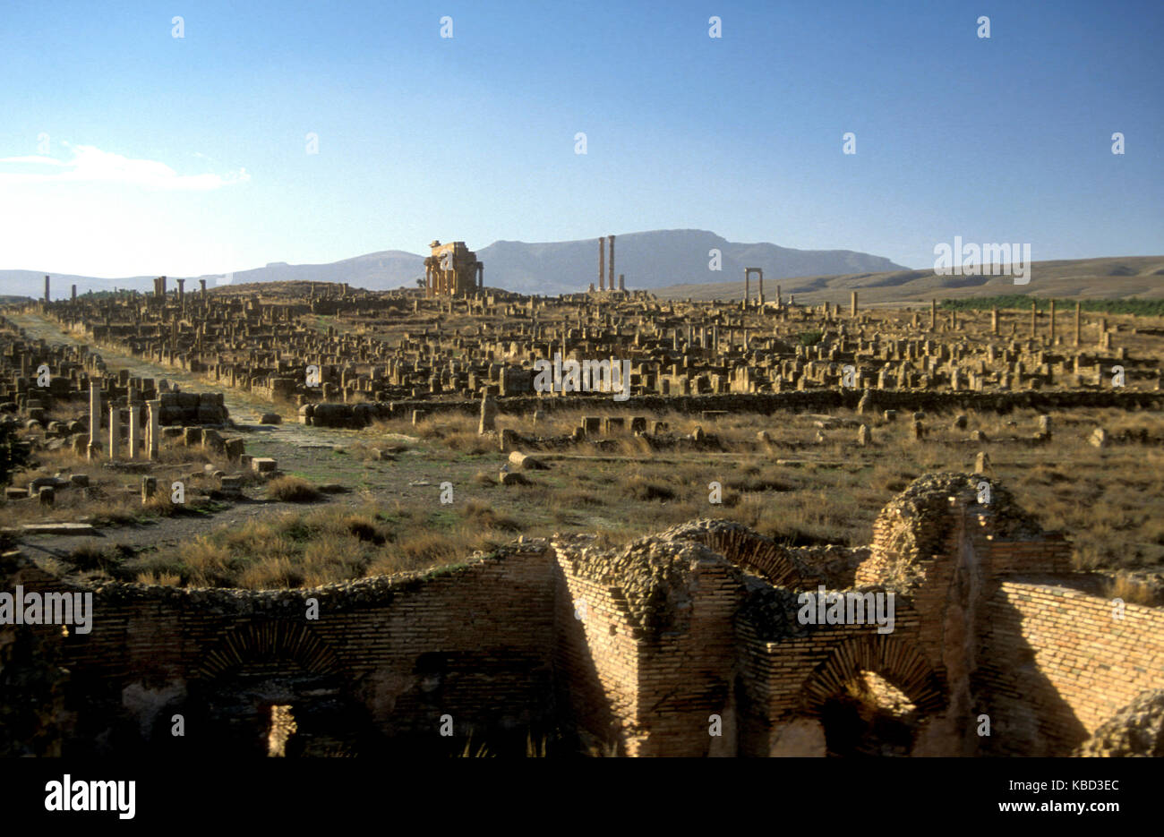 Ville romaine de Timgad, sur la côte méditerranéenne de l'Algérie. Fondée c.100 CE. Banque D'Images