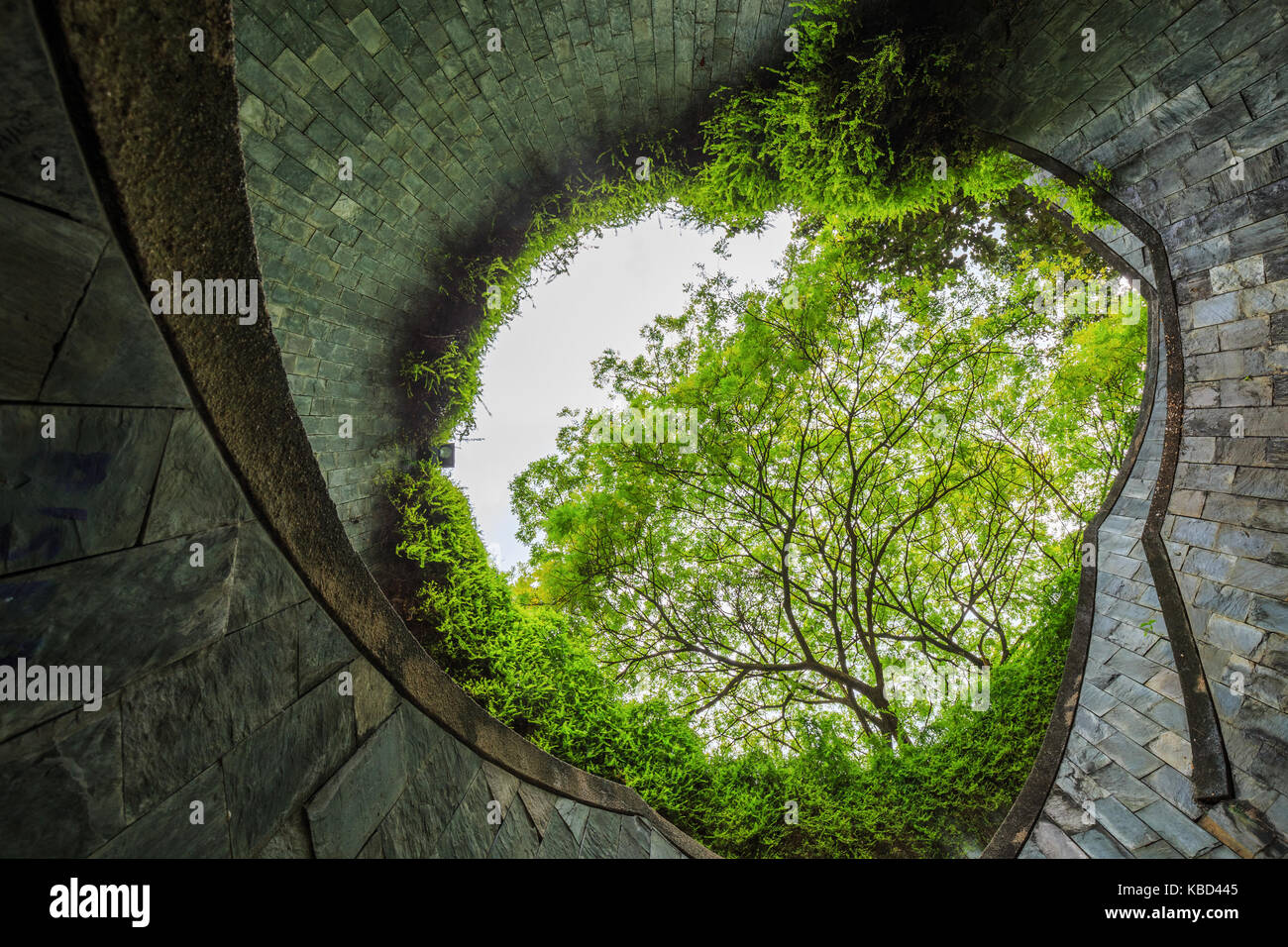 Passage souterrain en tunnel à Fort Canning Park, Singapore Banque D'Images