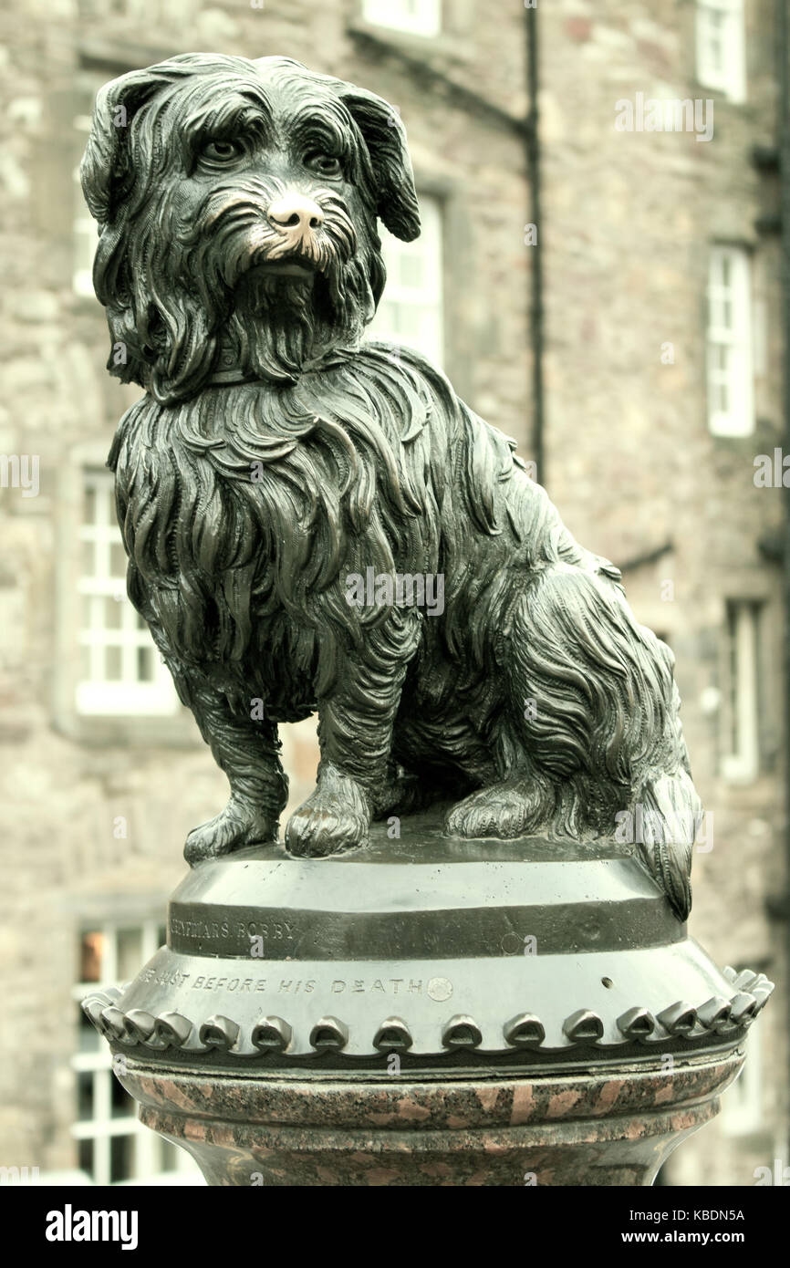 Statue, un mémorial à Kampa, à l'angle de la rangée et née de l'association George IV Bridge, Edinburgh, Ecosse Banque D'Images