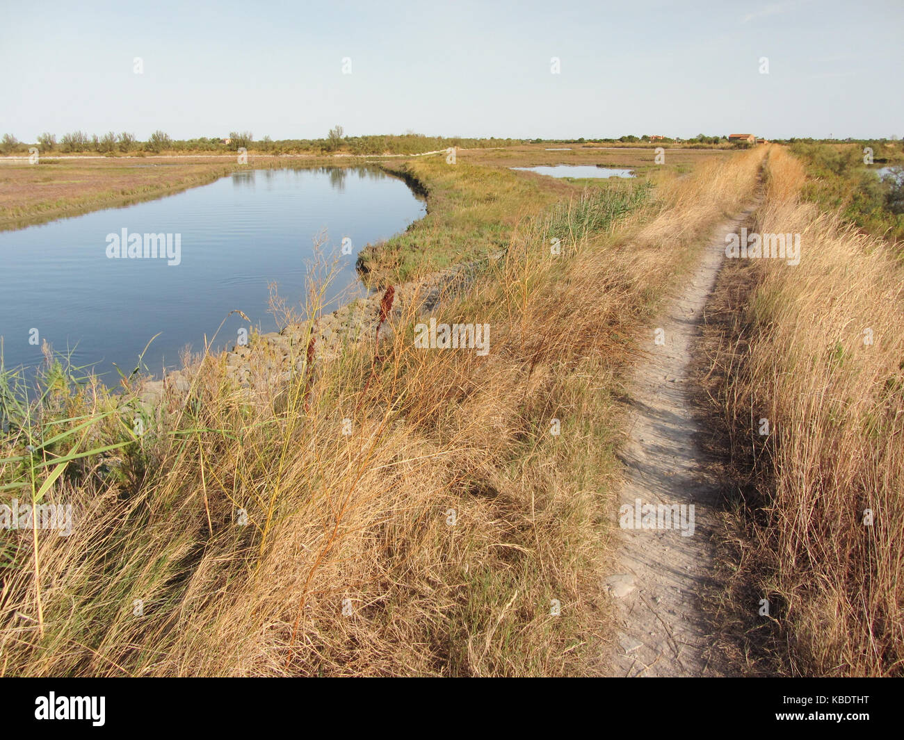 Vue d'ensemble sur l'saltmarsh autour de Lio Piccolo, près de Venise Banque D'Images