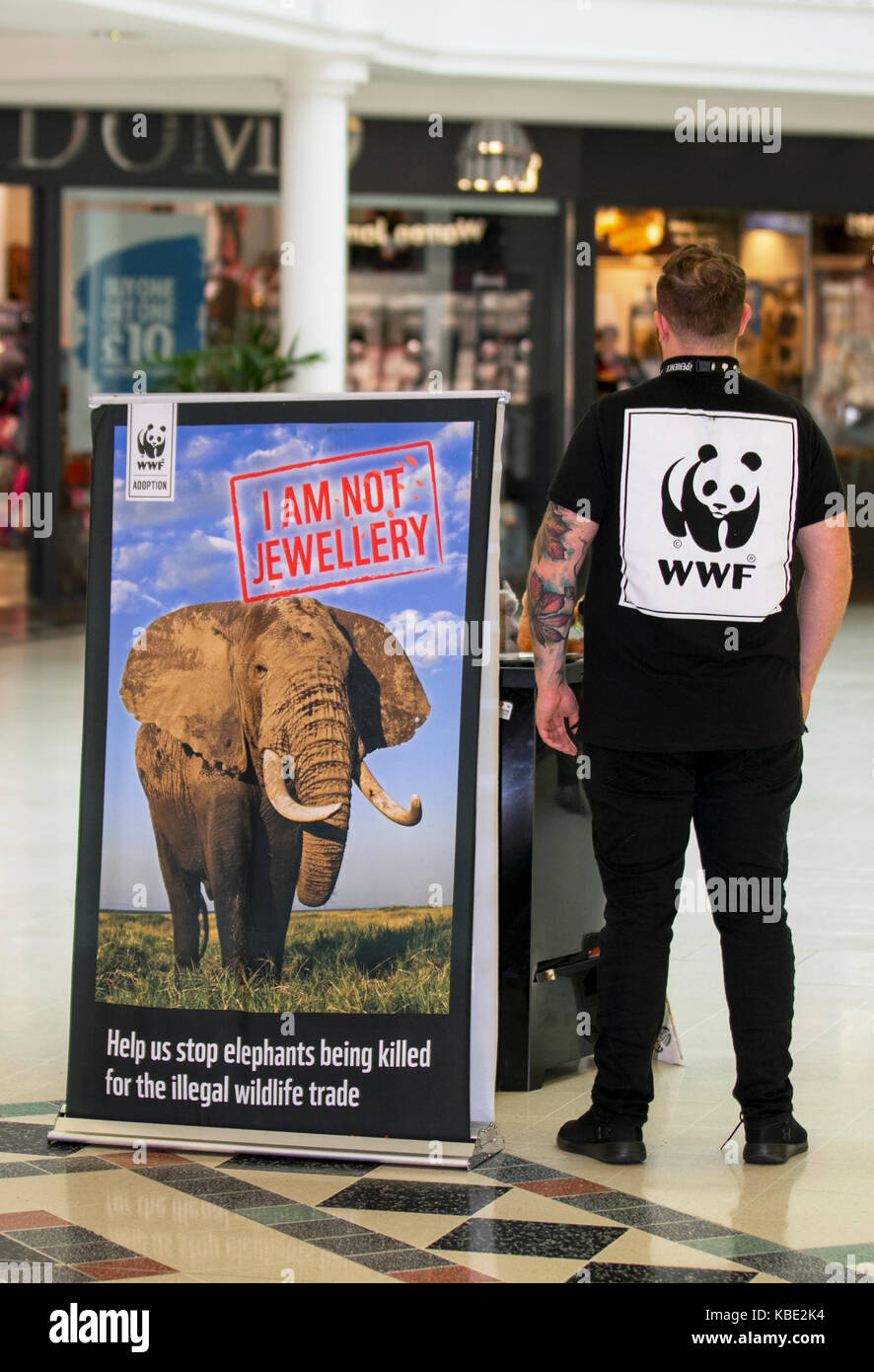 La campagne du WWF a menacé les affiches et les publications de charité d'animaux vulnérables en danger à Preston, Lancashire, Royaume-Uni. Le Fonds mondial pour la nature est une organisation non gouvernementale internationale fondée en 1961, qui travaille dans le domaine de la préservation des milieux sauvages et de la réduction de l'empreinte de l'humanité sur l'environnement. Banque D'Images