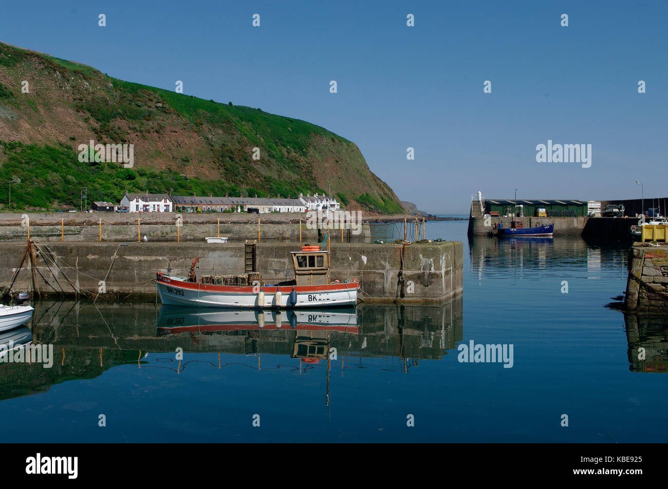 Burnmouth harbour, Ecosse Banque D'Images