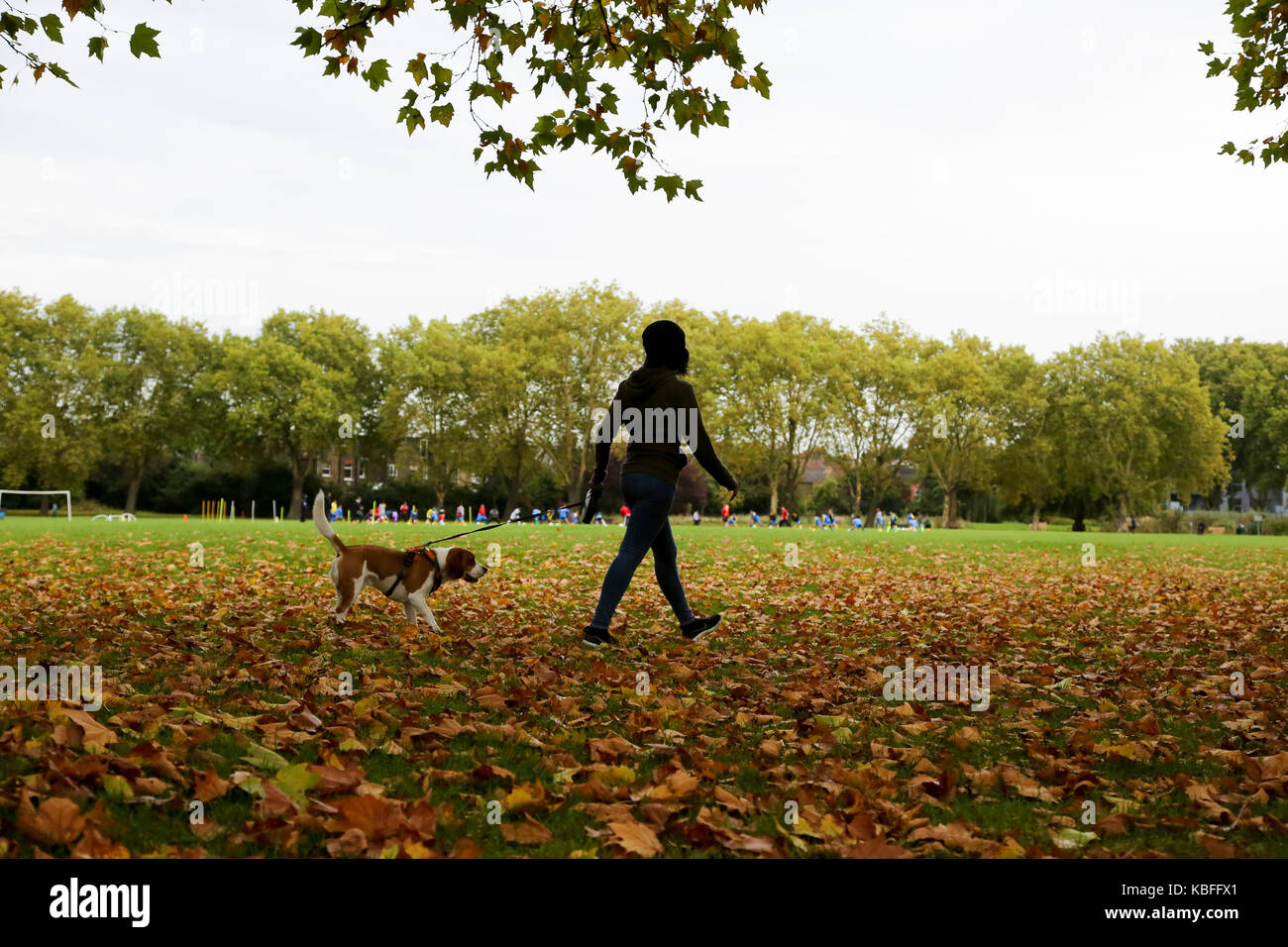 Le nord de Londres, Royaume-Uni. Sep, 2017 3e. couleurs automnales dans un parc du nord de Londres. Une femme entre son chien dans un parc couvert de sécher les feuilles d'automne. crédit : dinendra haria/Alamy live news Banque D'Images