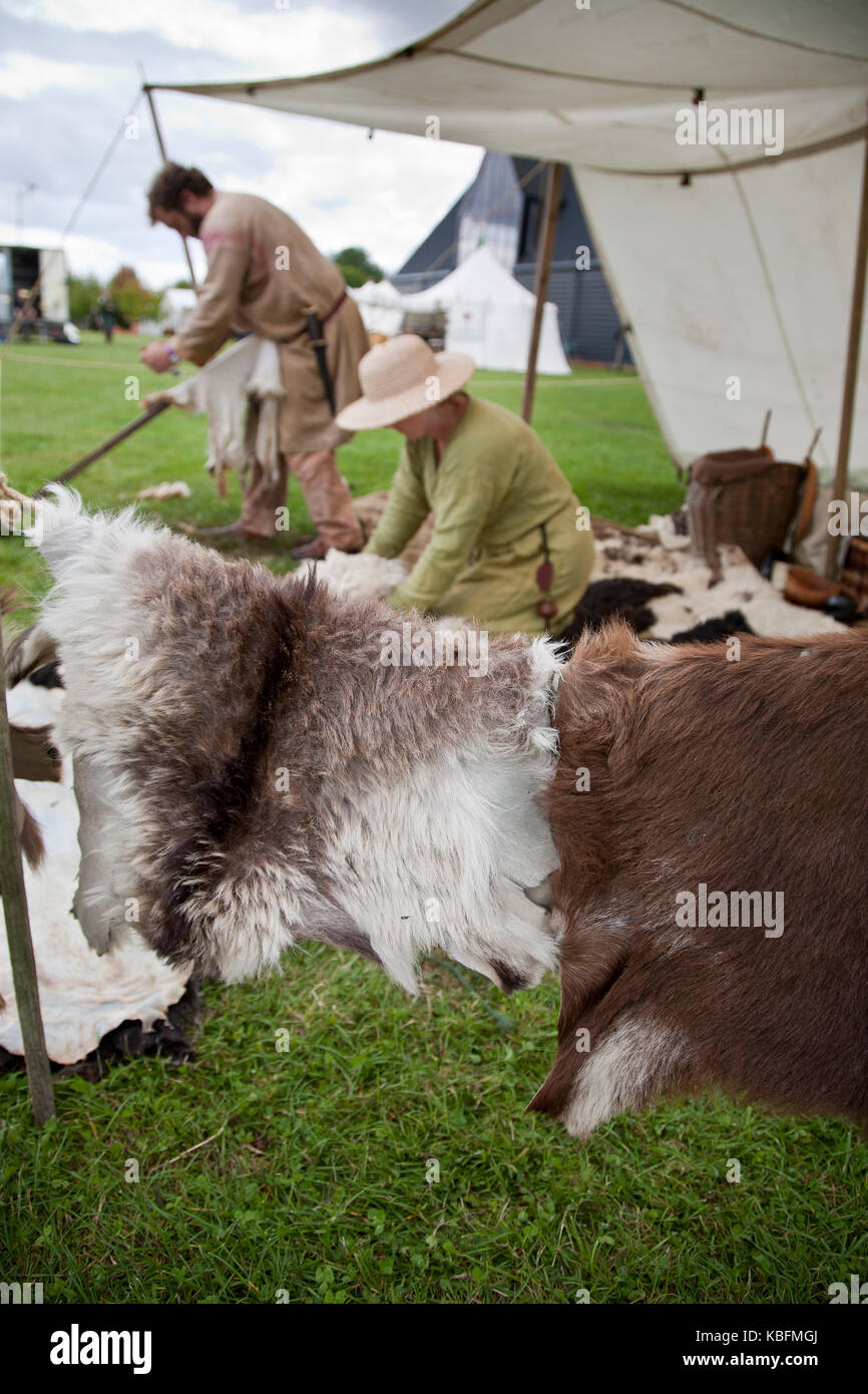 Tawing peaux de chèvre et de mouton à l'east anglian festival d'histoire vivante à stowmarket. Banque D'Images