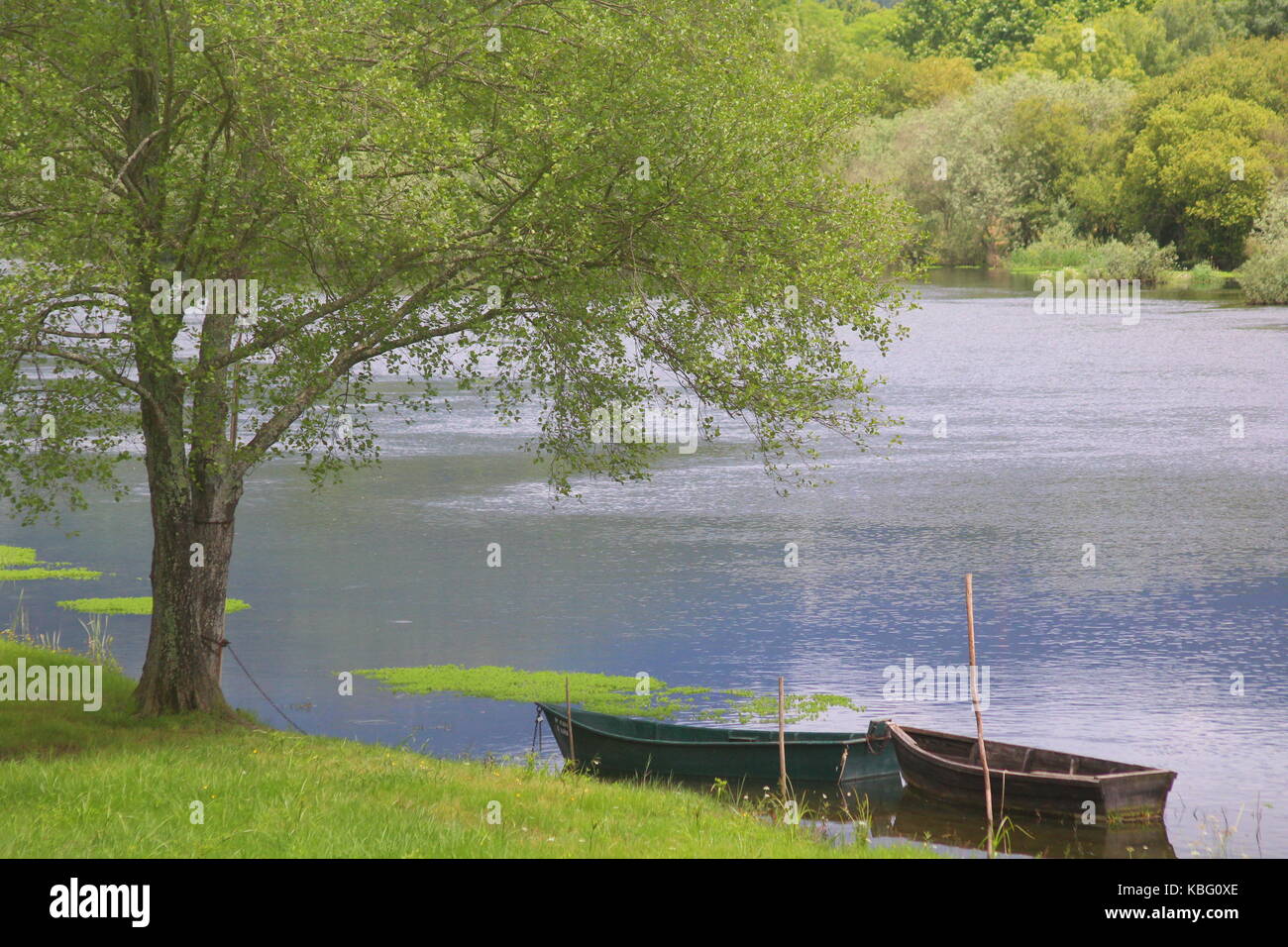 Ponte de lima Banque D'Images