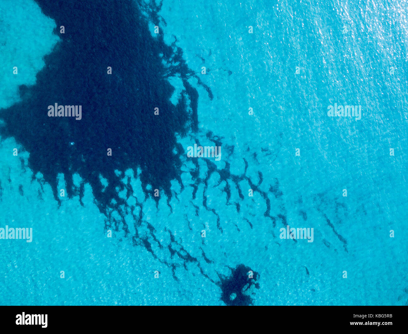 Vue aérienne de rochers sur la mer. vue d'ensemble des fonds marins vu de dessus, l'eau transparente conçue par les algues Les algues. Banque D'Images