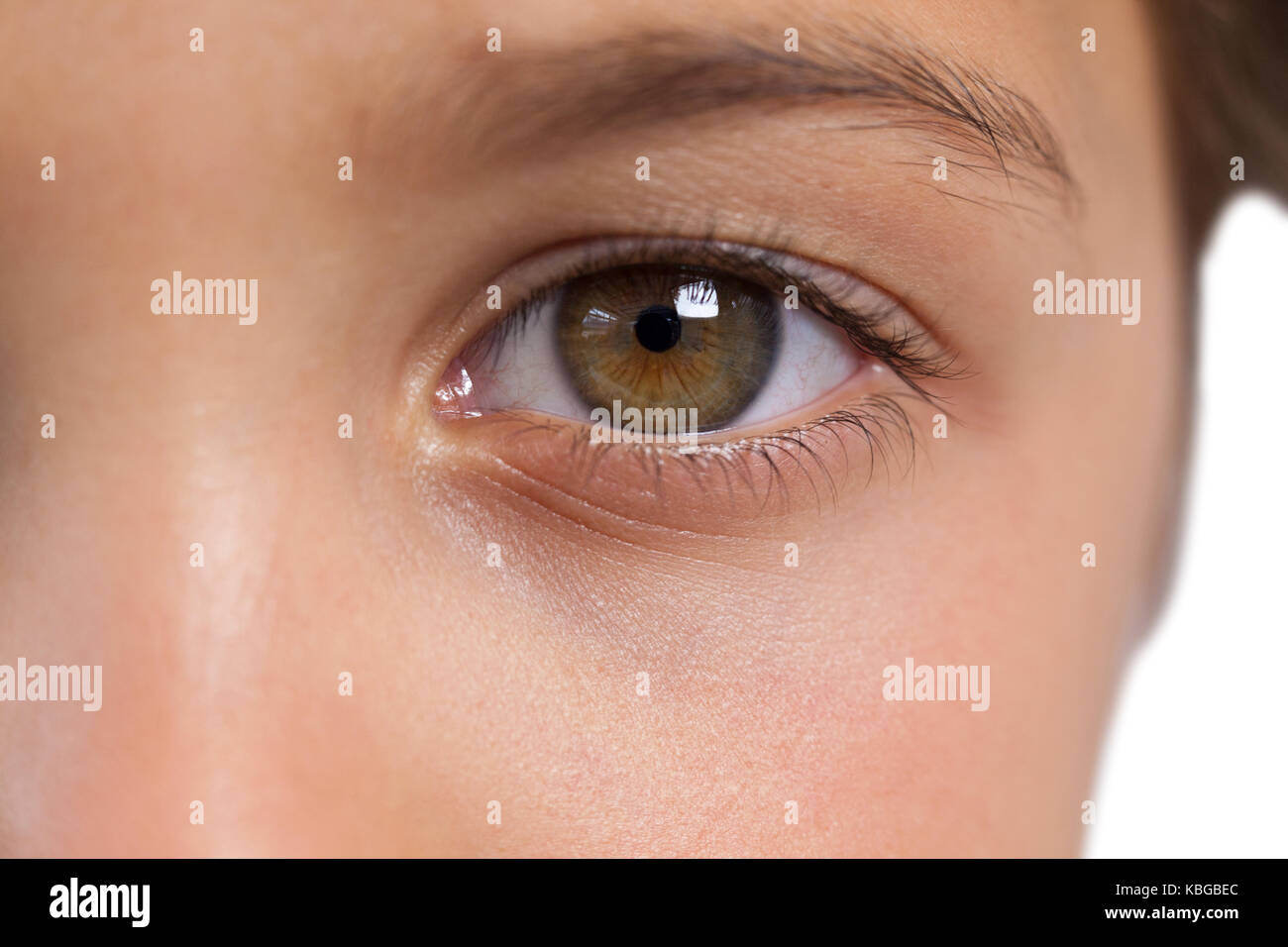 Close-up du garçon avec des yeux noisette Banque D'Images