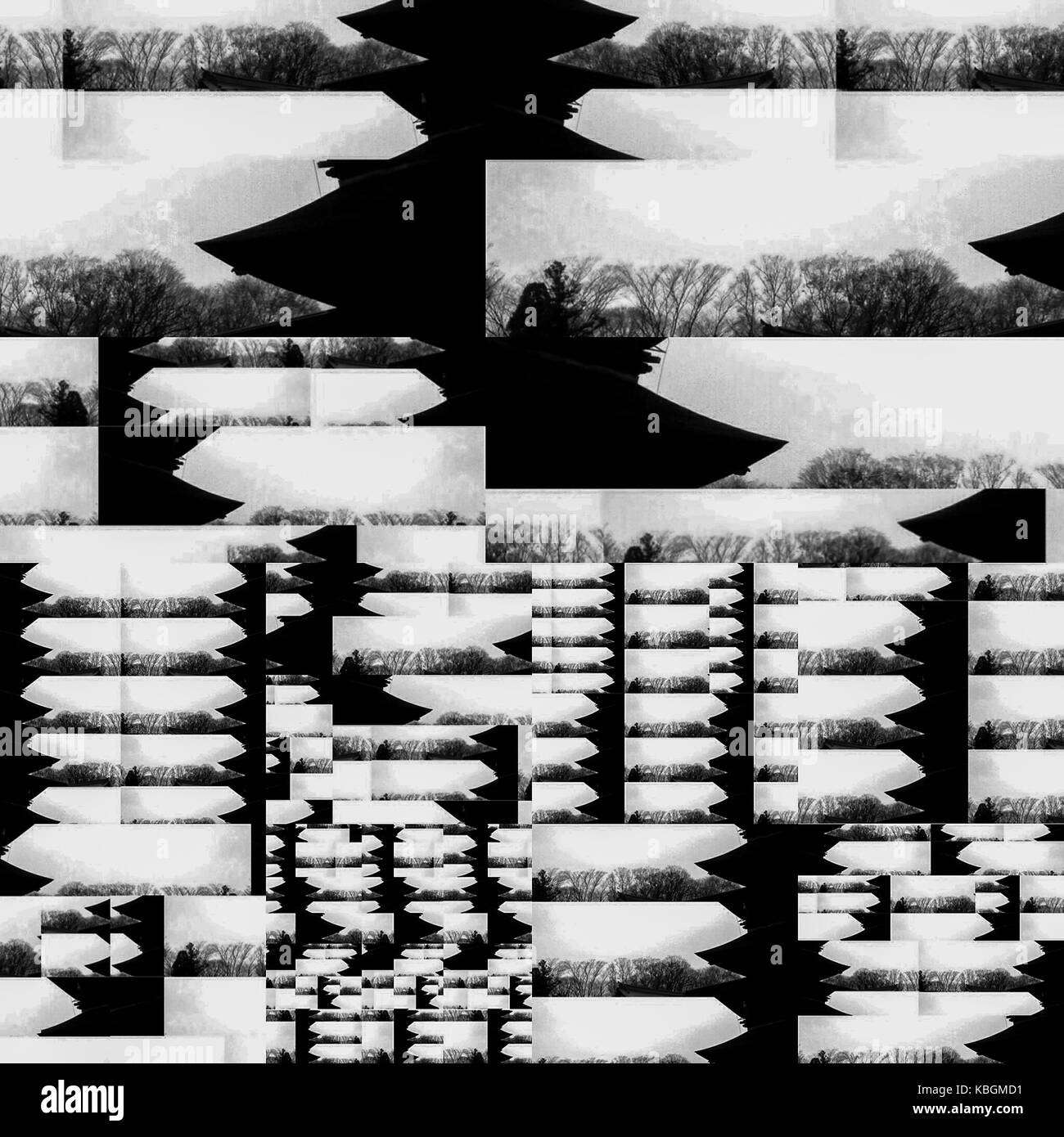 Les assemblages numériques photographiques Banque D'Images