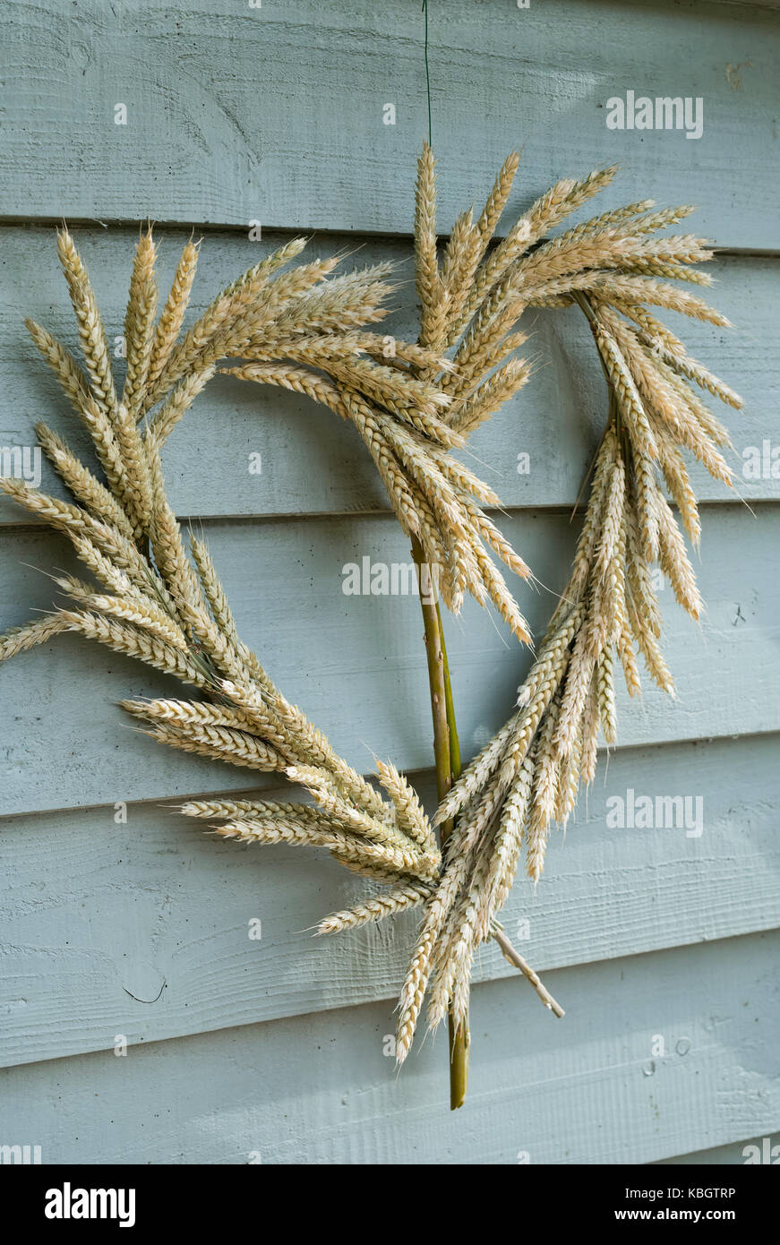 Coeur de blé gerbe à Daylesford Organic farm shop festival d'automne. Daylesford, Cotswolds, Gloucestershire, Angleterre Banque D'Images
