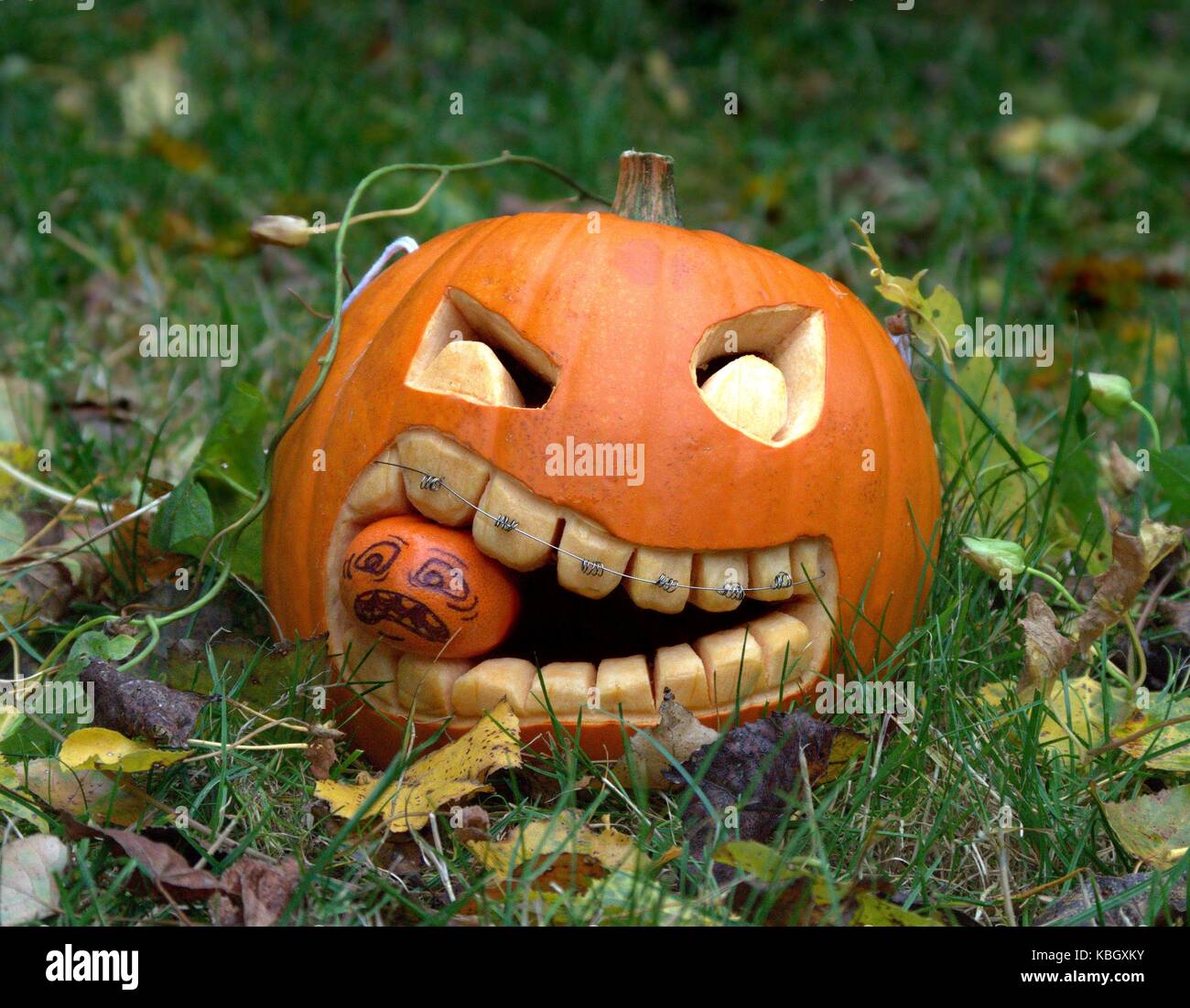 Sculpture de citrouille halloween manger face petite citrouille Photo Stock  - Alamy