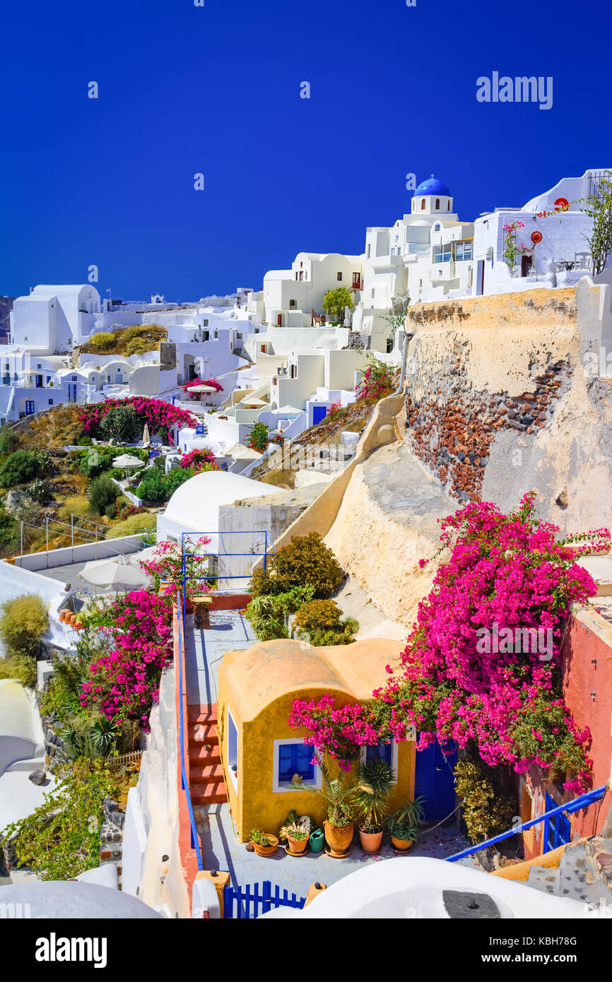 Oia, Santorin, Grèce. et traditionnel célèbre white maisons et églises aux dômes bleus sur la caldeira, la mer Égée. Banque D'Images