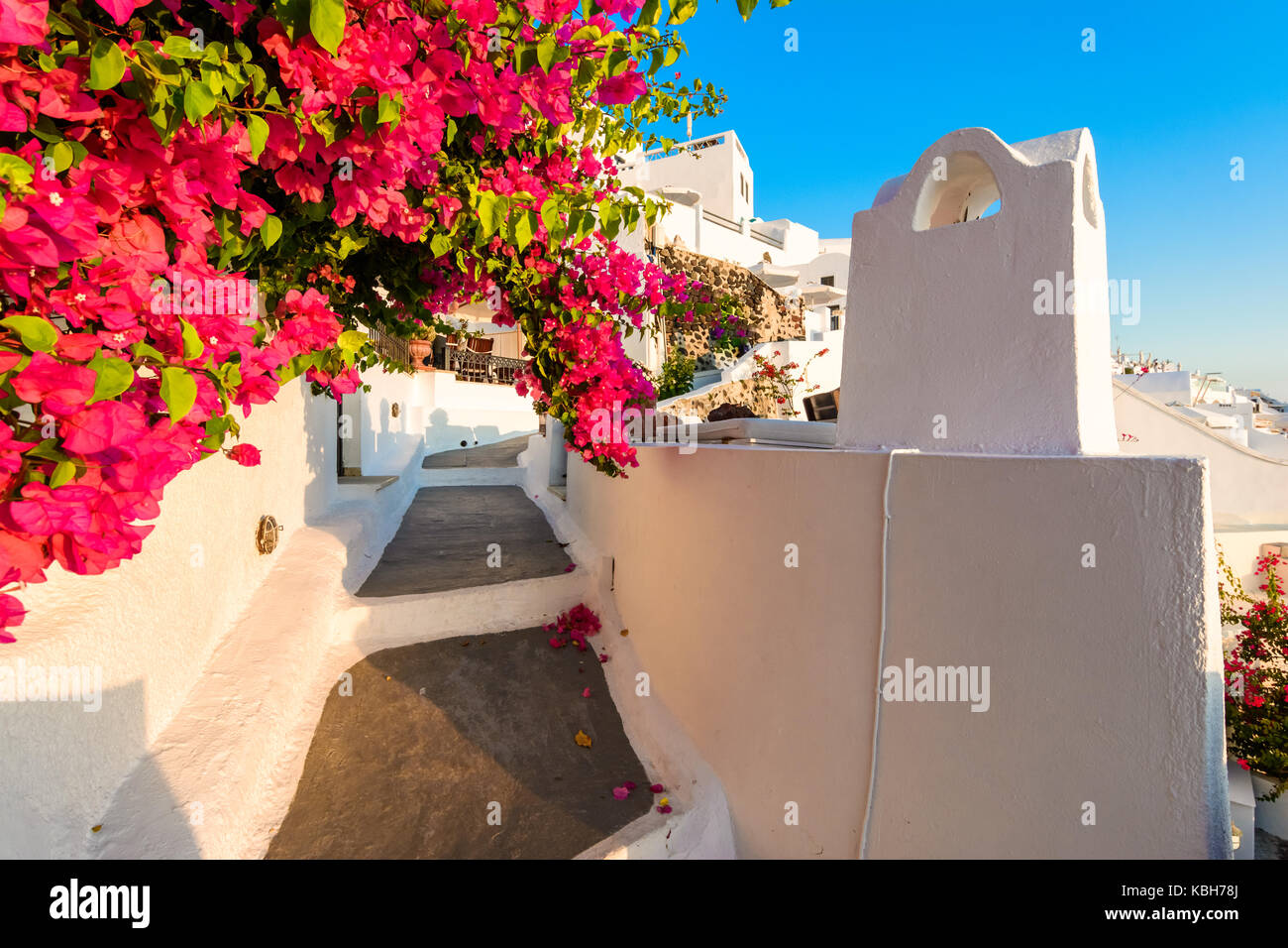 Rues de Fira, santorini island, Grèce. et traditionnel célèbre maisons blanches sur la caldeira, la mer Égée. Banque D'Images