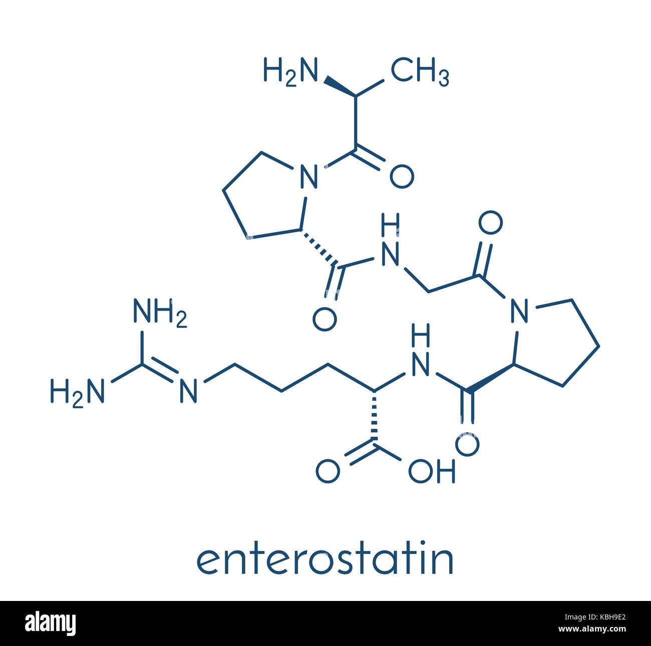 Enterostatin molécule peptide de signalisation. réduit l'alimentation et l'apport en matières grasses. formule topologique. Illustration de Vecteur