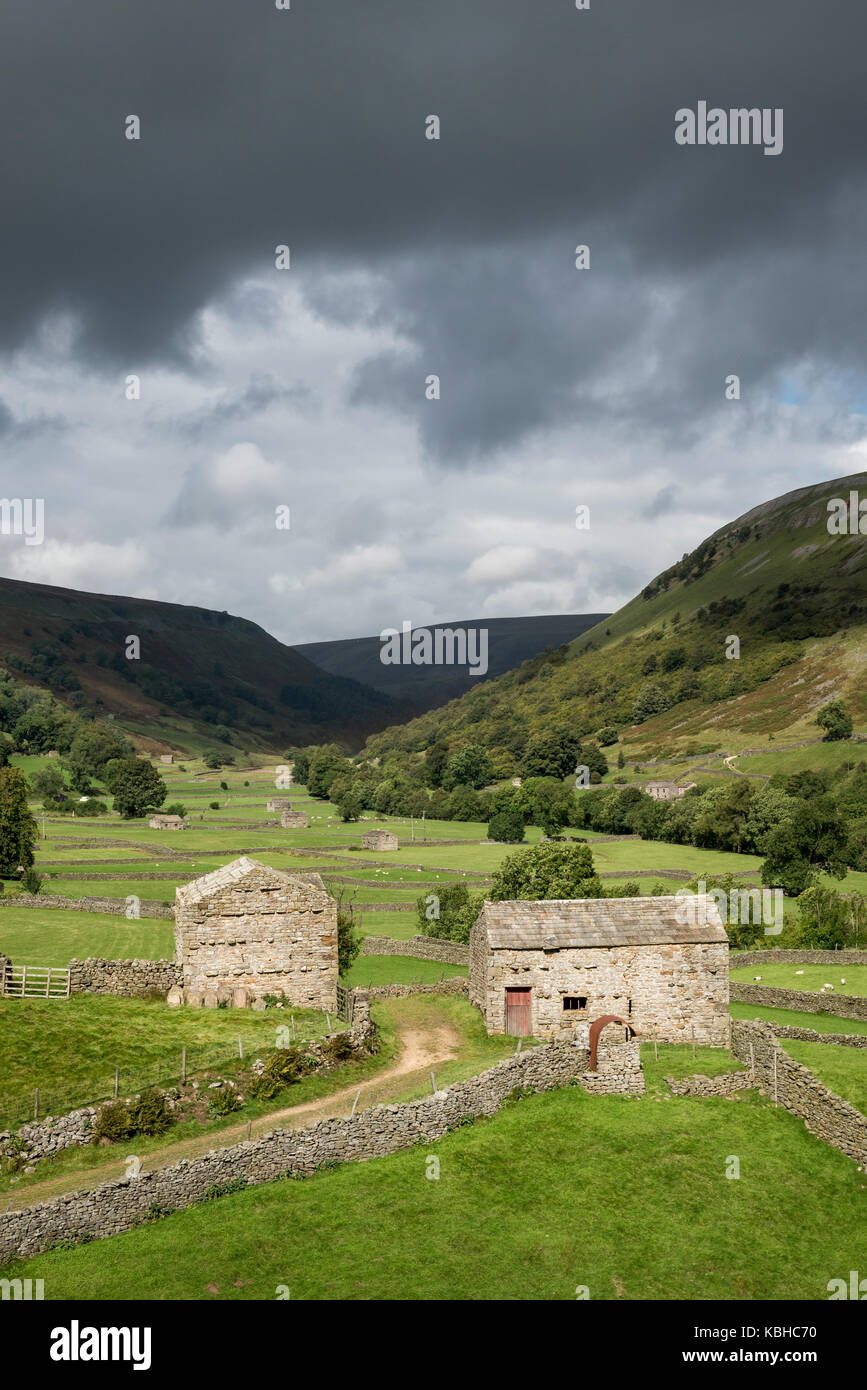 Belle campagne autour de Muker dans Swaledale, Yorkshire Dales, Angleterre. En vedette les granges traditionnelles ou "maisons de vache' 'Cow'usses'. Banque D'Images