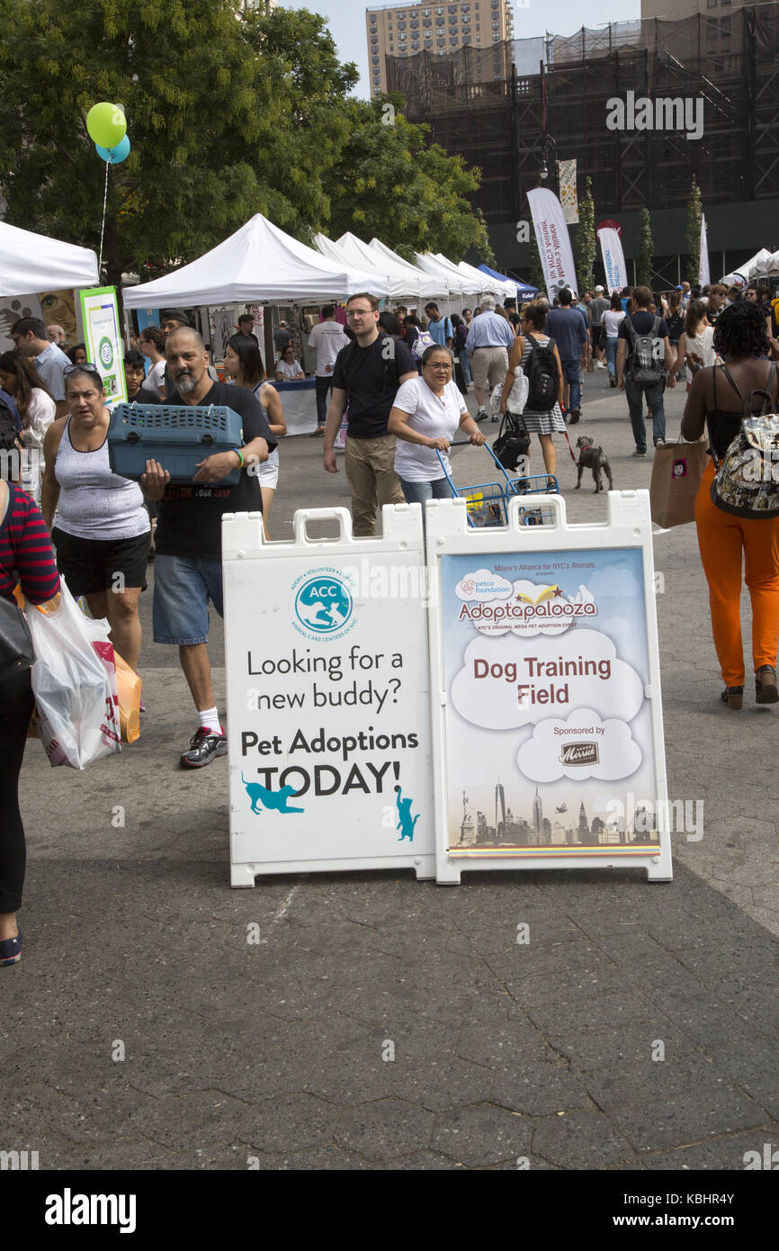 Les chiens, les chats et les lapins sont adoptés lors de l'événement 'AdoPTAPALOOZA' organisé à Union Square et parrainé par l'Alliance des 'ayor's pour les animaux de NYC' à New York. Banque D'Images