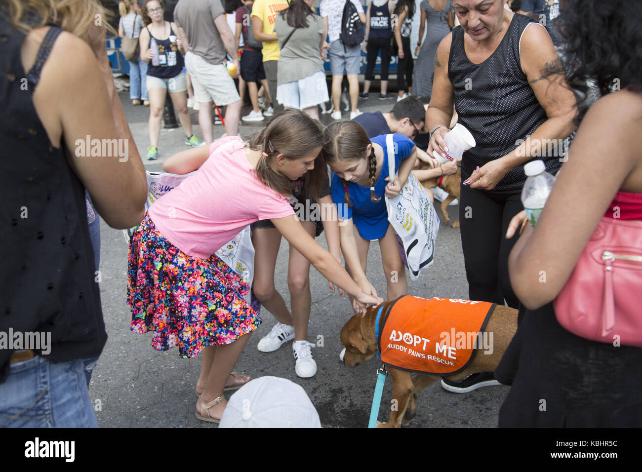 Les chiens, les chats et les lapins sont adoptés lors de l'événement 'AdoPTAPALOOZA' organisé à Union Square et parrainé par l'Alliance des 'ayor's pour les animaux de NYC' à New York. Banque D'Images