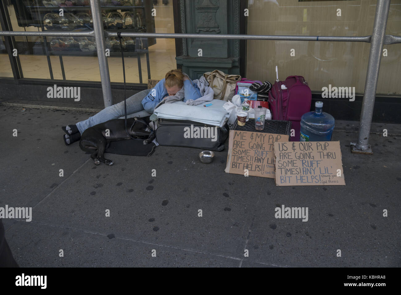 Femme sans-abri et son chien s'est écrasé sur le trottoir avec signe de demander de l'aide. La ville de New York. Banque D'Images