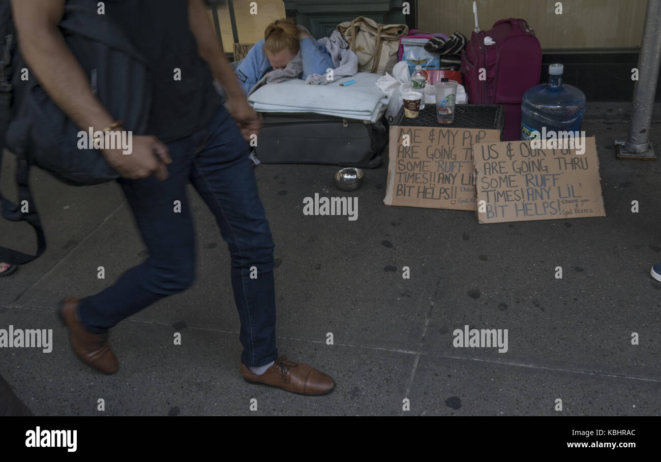 Femme sans-abri et son chien s'est écrasé sur le trottoir avec signe de demander de l'aide. La ville de New York. Banque D'Images