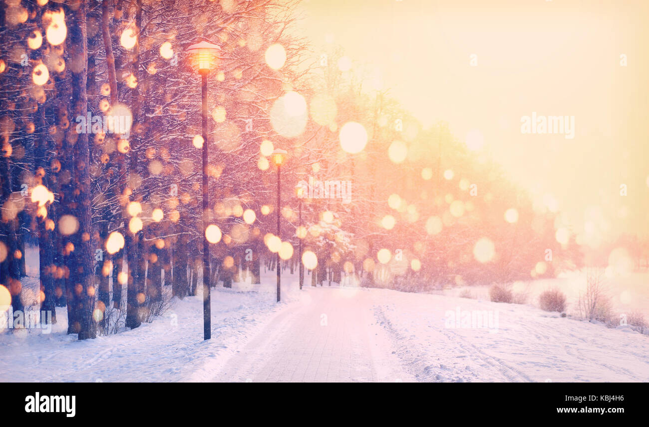 Flocons sur fond de neige winter park. dans parc. frosty winter sunset. fond de noël. Banque D'Images