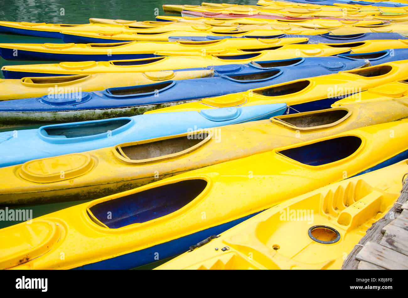 Kayaks Jaunes flottant Banque D'Images