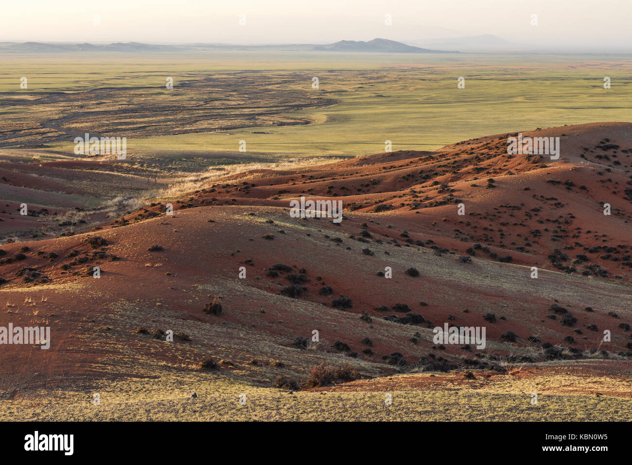 Vue panoramique sur le paysage pittoresque avec des plantes sur les collines Banque D'Images