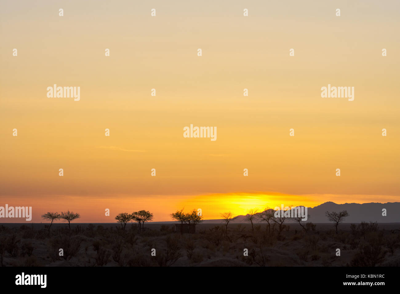 Silhouettes d'arbres sur la colline parlementaire à fiery coucher du soleil orange Banque D'Images