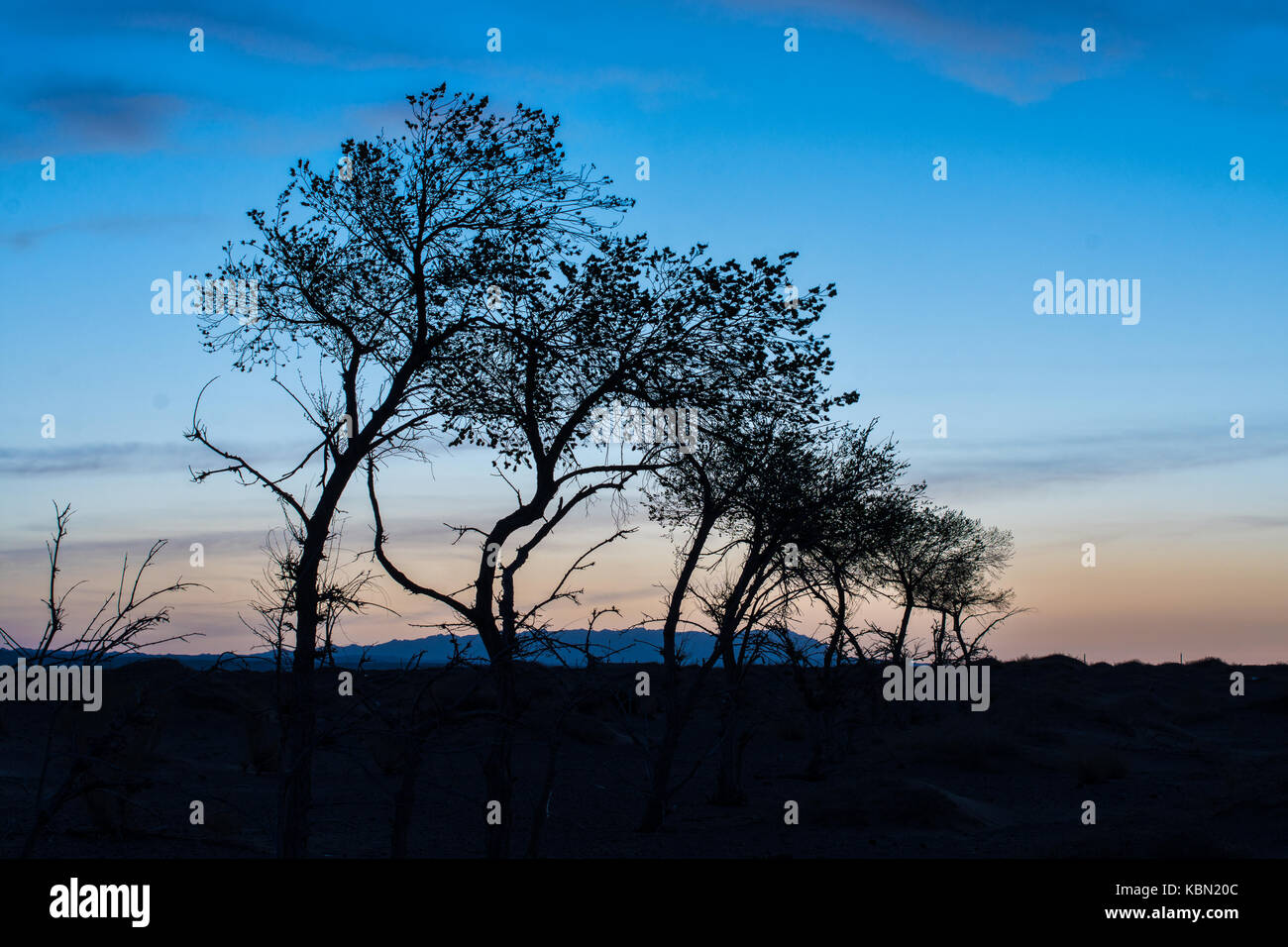 Silhouettes d'arbres sur colline avec ciel bleu sur l'arrière-plan Banque D'Images