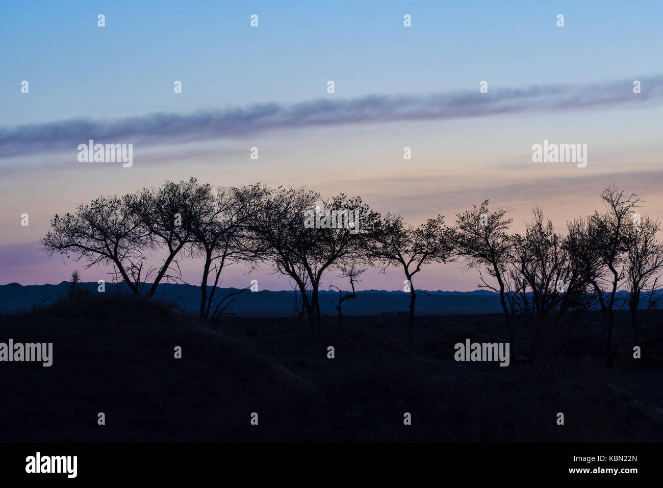 Silhouettes d'arbres sur colline avec ciel bleu sur l'arrière-plan Banque D'Images