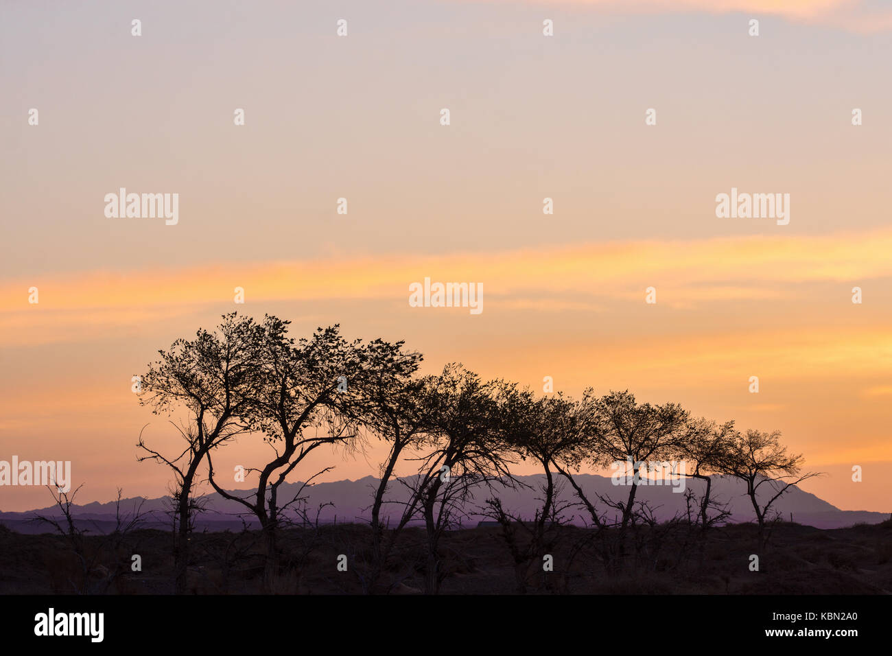 Silhouettes d'arbres sur colline avec orange ciel on background Banque D'Images