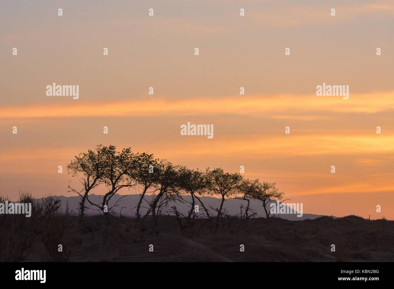 Silhouettes d'arbres sur colline avec orange ciel on background Banque D'Images