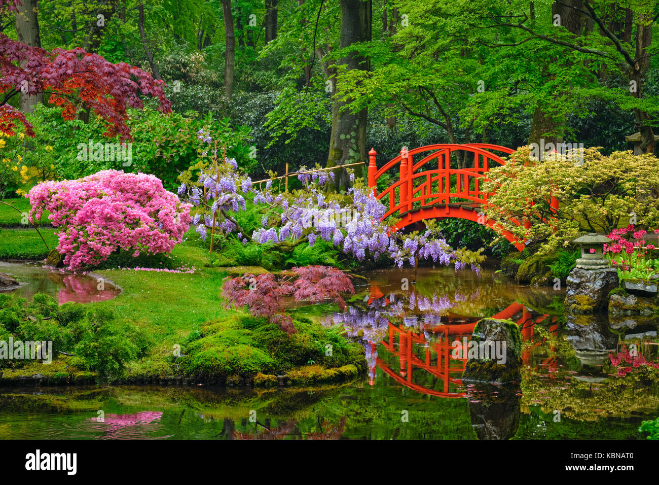 Jardin japonais, parc Clingendael, La Haye, Pays-Bas Banque D'Images