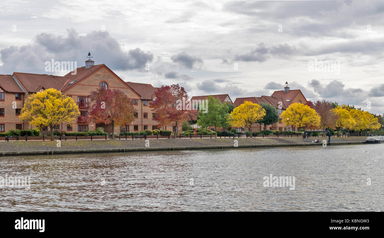 Angleterre BRISTOL HARBOURSIDE CENTRE-VILLE RIVIÈRE AVON de condensats chauds AUX CÔTÉS DE MAISONS DU PORT AVEC LES ARBRES ET LES FEUILLES D'AUTOMNE Banque D'Images