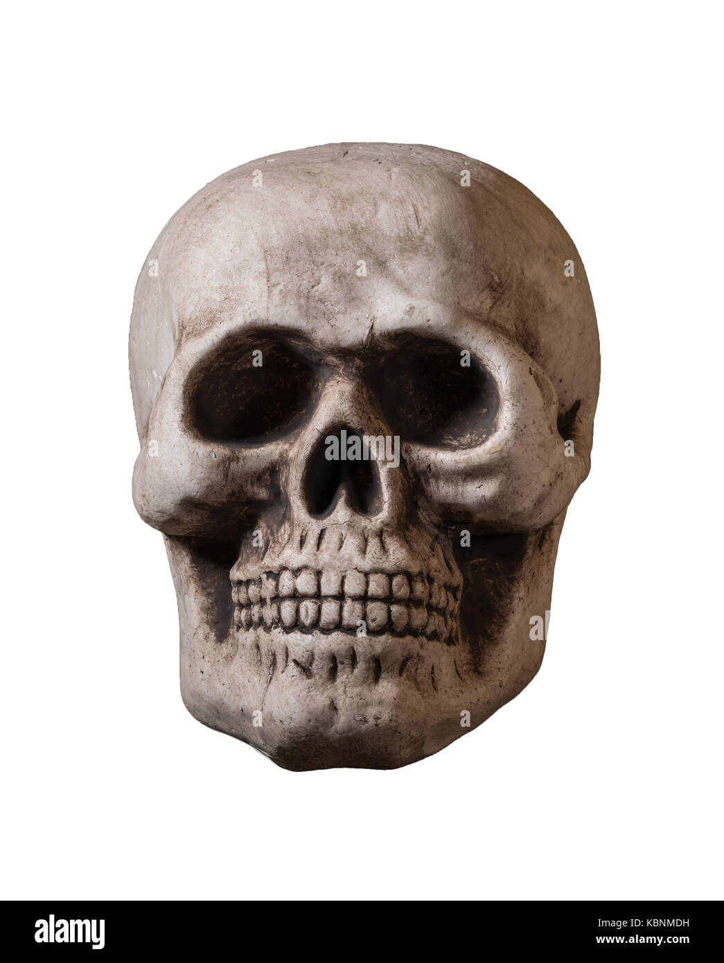 Crâne isolé contre fond blanc Banque D'Images