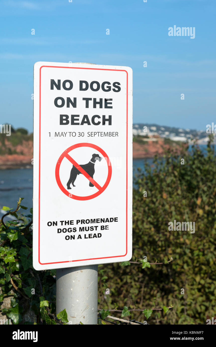 "Pas de chiens sur la plage' signe à Paignton, Devon, UK avec Tor Bay n'est pas mise au point en arrière-plan. south west coast path, Banque D'Images