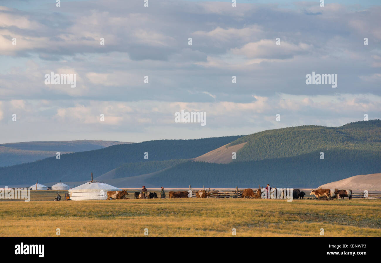 Famille mongole gers dans un paysage du nord de la Mongolie Banque D'Images