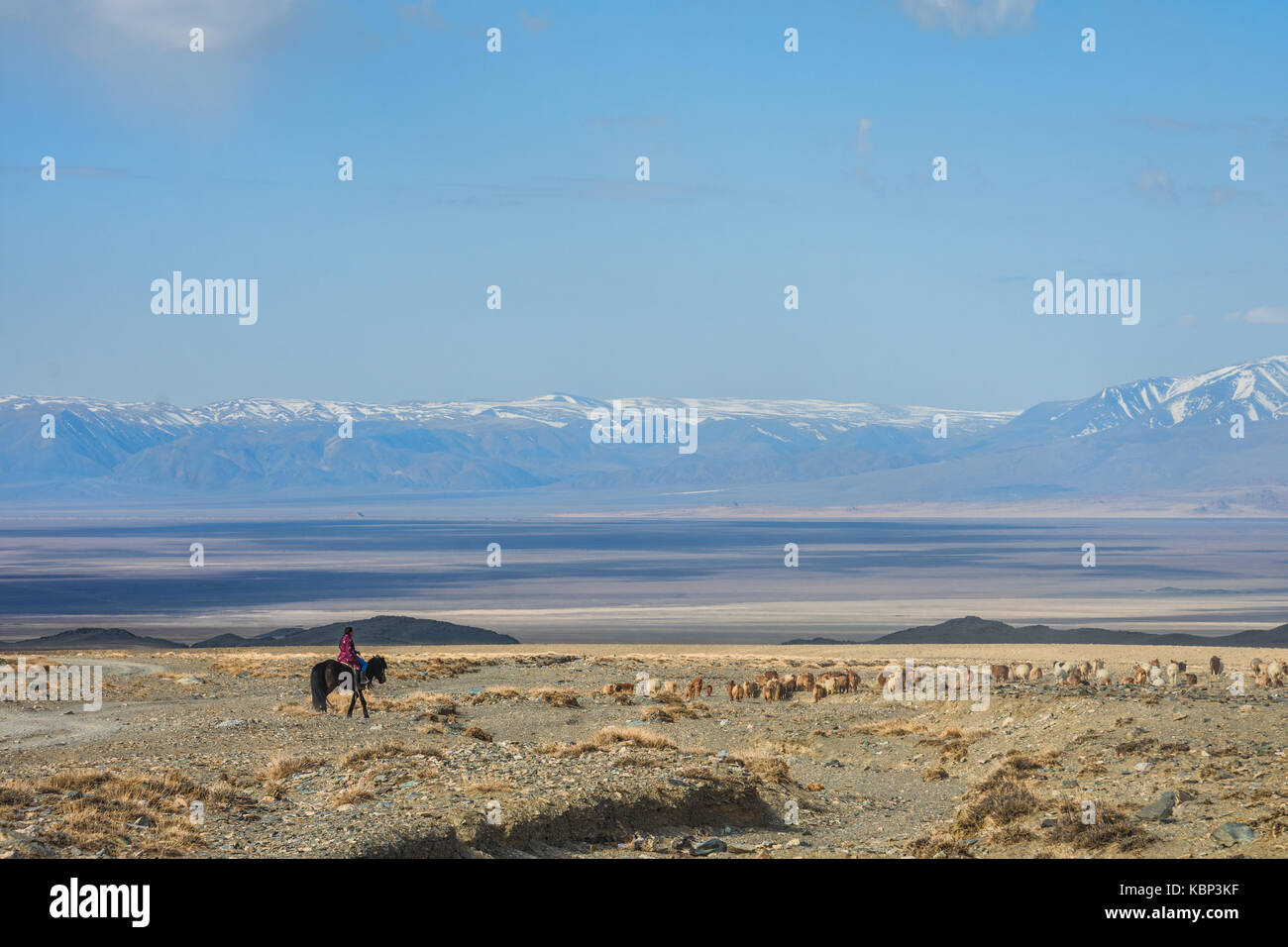 Bergère asiatique sur l'élevage troupeau de moutons dans la prairie à sunny day Banque D'Images