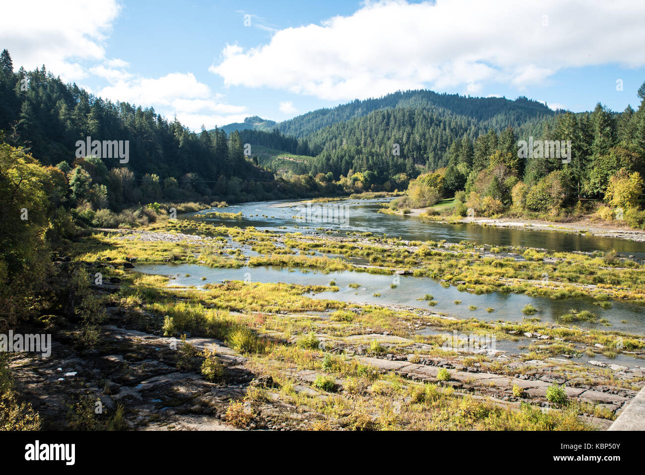 Placid umpqua River en octobre-début octobre, dans un endroit calme, ensoleillé, jour de l'Umpqua river coule à travers rêveusement shallows passé elkton, Oregon. Banque D'Images