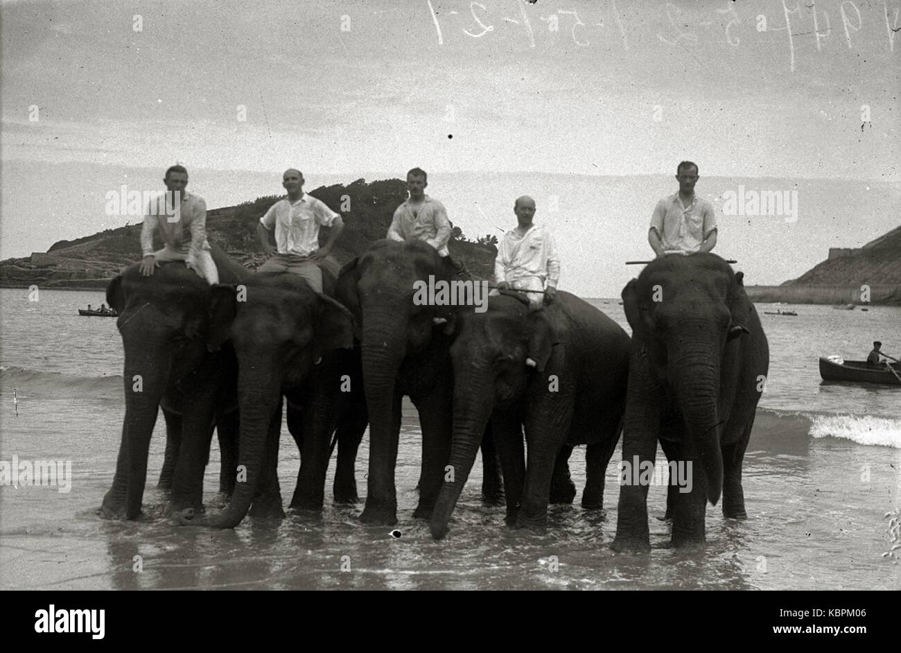 Une photographie vintage montrant des éléphants du cirque Kroner à la plage de la Concha, faisant partie d'une série documentant la vie du cirque en Espagne au début du XXe siècle. Banque D'Images
