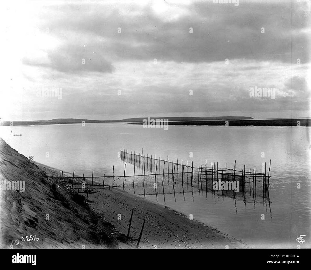Le piège à poisson sur la baie Nushagak, Alaska, ndd (COBB 170) Banque D'Images