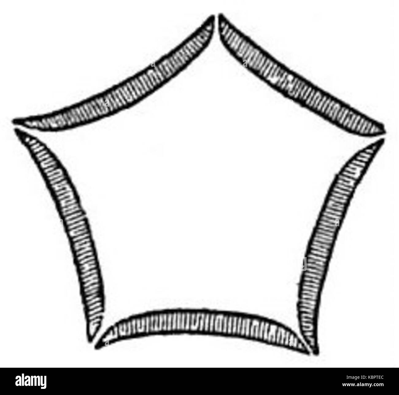 Le diagramme floral EB1911 décrit un concept botanique de l'estivation réductrice, un terme décrivant la disposition des parties de la plante au stade du bourgeon, comme décrit dans l'Encyclopédie Britannica de 1911. Banque D'Images