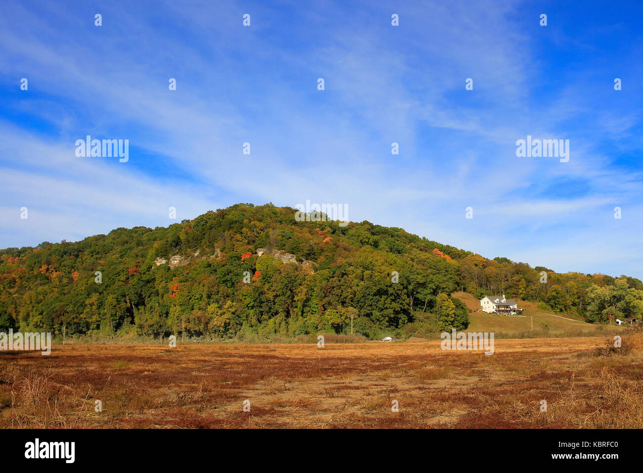 Colline boisée à l'automne ; l'herbe sèche en premier plan ; ciel bleu avec des nuages au-dessus de la colline, Missouri, Midwest Banque D'Images