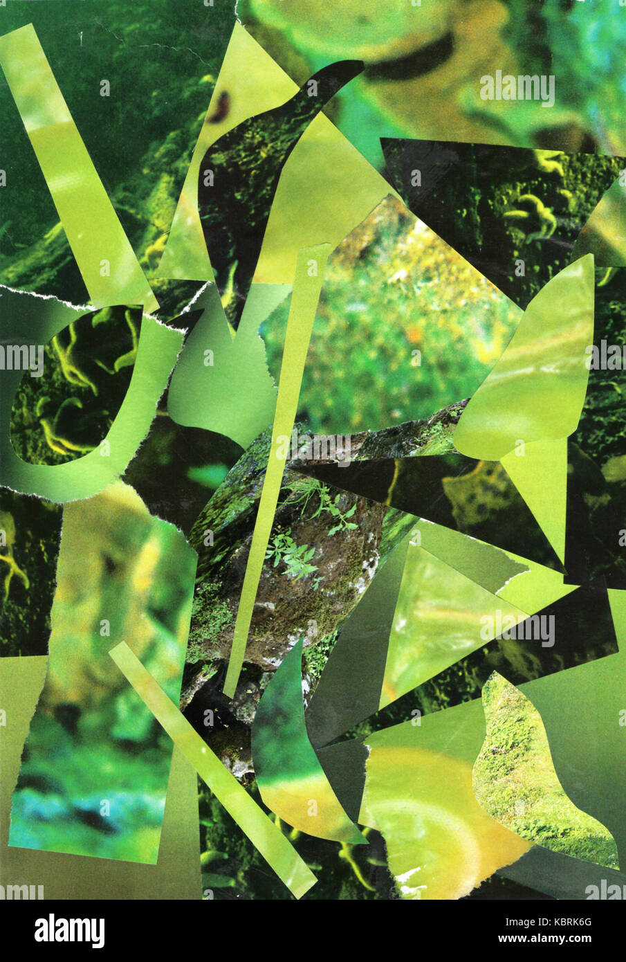 Abstract green papier collage Banque D'Images